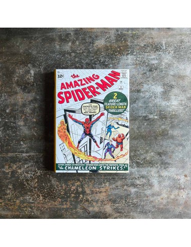 Livre - Spider-Man. Vol. 1. 1962–1964 l'évolution des habitudes 